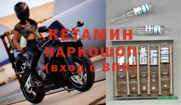 шишки Сосновоборск