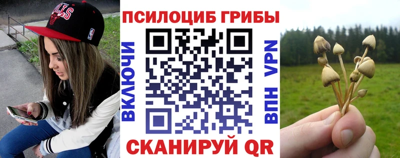 ссылка на мегу маркетплейс Бронницы Псилоцибиновые грибы MAGIC MUSHROOMS