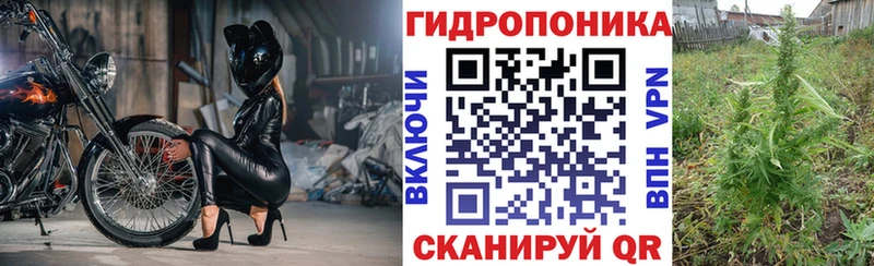 Бошки марихуана Amnesia  как найти   Бронницы 